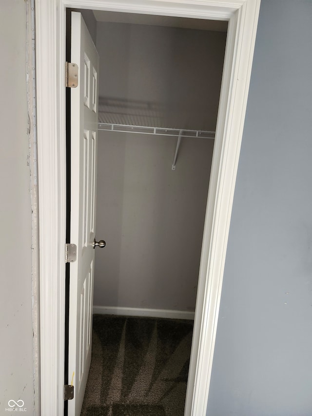 view of closet