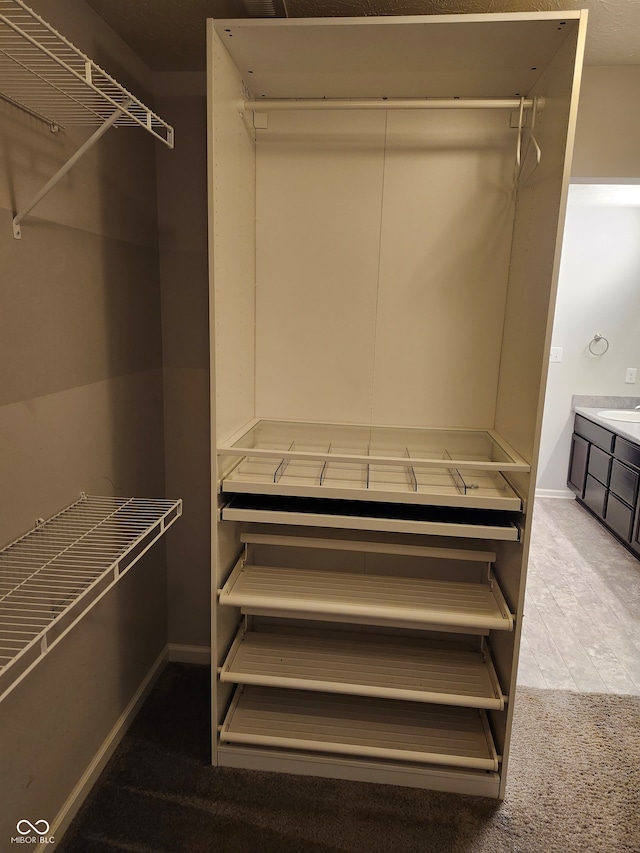 spacious closet with sink and carpet flooring