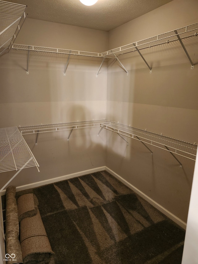 spacious closet featuring carpet