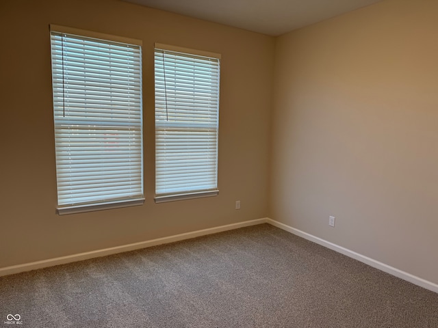 spare room featuring a healthy amount of sunlight and carpet flooring