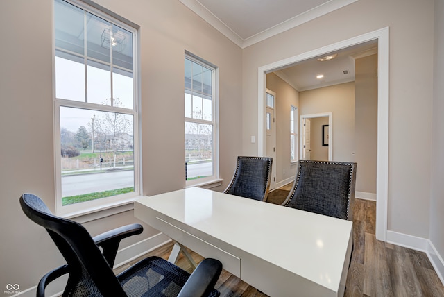 office featuring crown molding and hardwood / wood-style flooring