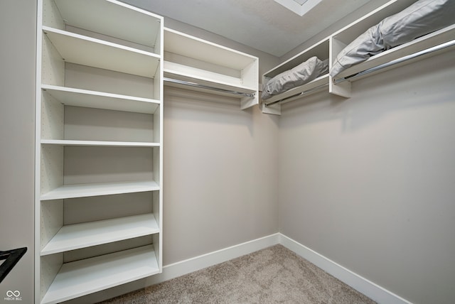 spacious closet with carpet floors