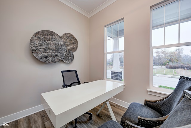 home office with hardwood / wood-style flooring, plenty of natural light, and crown molding