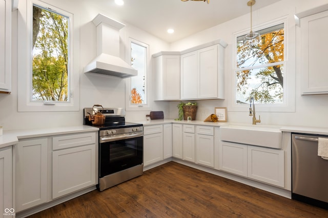 kitchen with stainless steel appliances, a wealth of natural light, sink, and custom exhaust hood