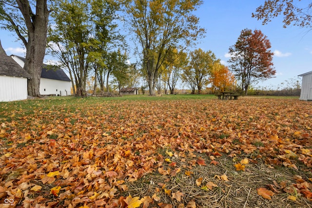 view of yard