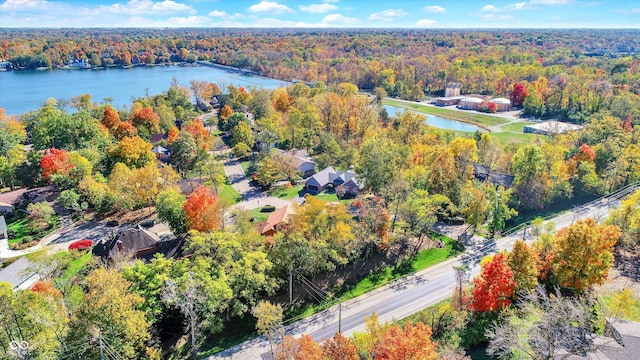8530 Helmsman Cir, Indianapolis, IN 46256 - bird's eye view of a forest and a nearby body of water