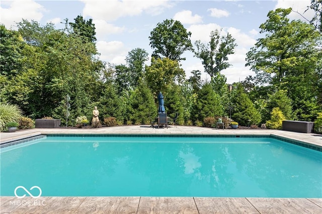 view of swimming pool