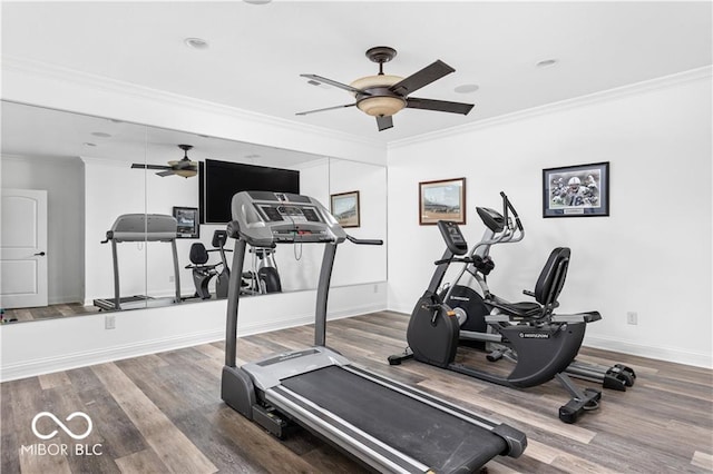 exercise area with crown molding, hardwood / wood-style flooring, and ceiling fan