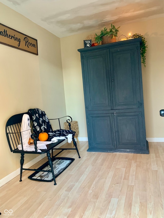 sitting room with light hardwood / wood-style flooring