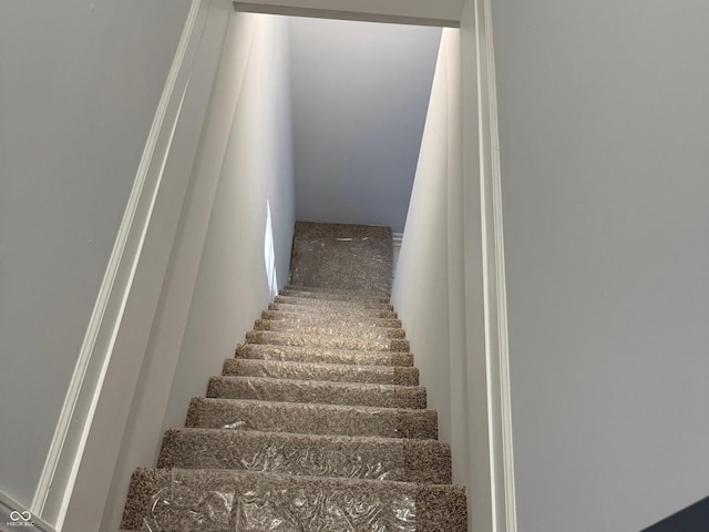 stairs featuring carpet flooring