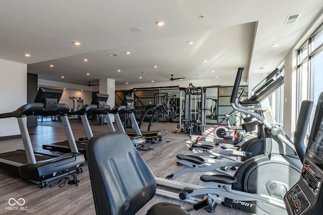 gym with a wall of windows and hardwood / wood-style floors