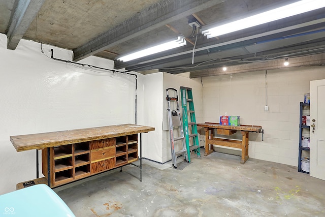 basement featuring a workshop area