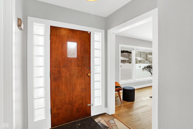 foyer with wood-type flooring