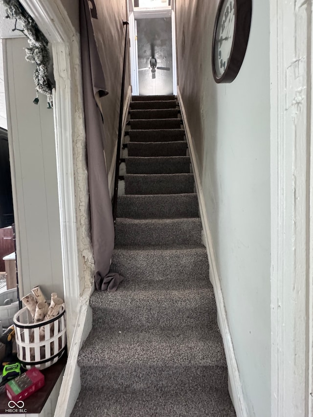 stairs with carpet floors