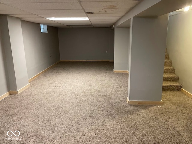 basement featuring carpet flooring and a paneled ceiling