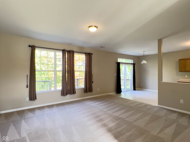 empty room featuring plenty of natural light and light colored carpet