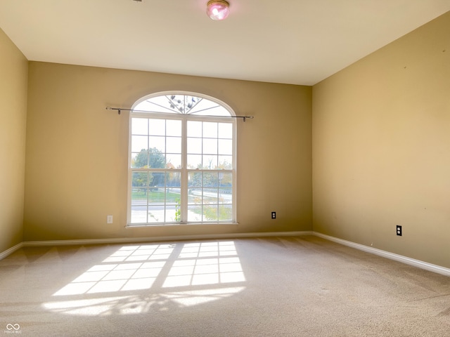 unfurnished room featuring carpet