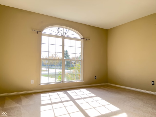 empty room featuring carpet