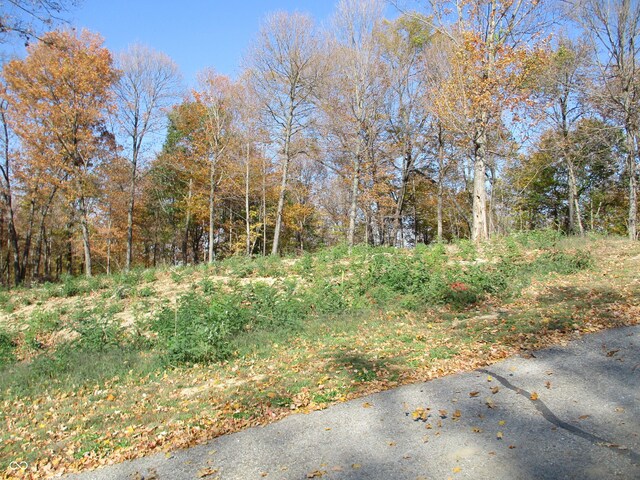 3134 E Indian Summer Ln, Martinsville, IN 46151 - photo 19