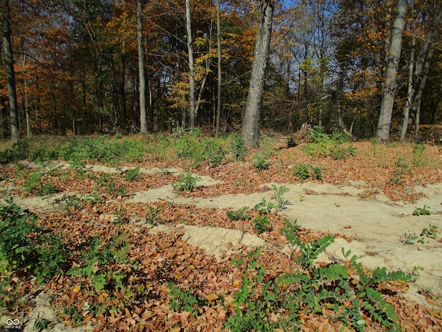 3134 E Indian Summer Ln, Martinsville, IN 46151 - photo 14