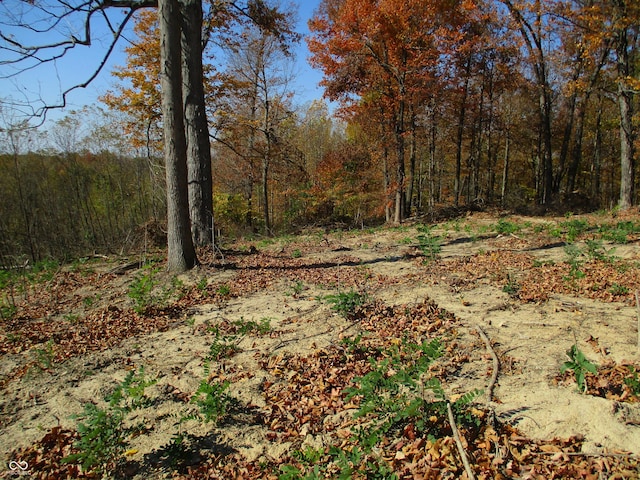 3134 E Indian Summer Ln, Martinsville, IN 46151 - photo 12