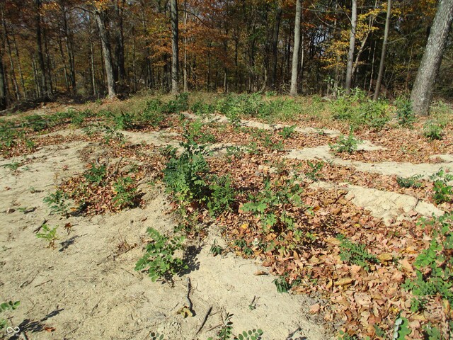 3134 E Indian Summer Ln, Martinsville, IN 46151 - photo 15