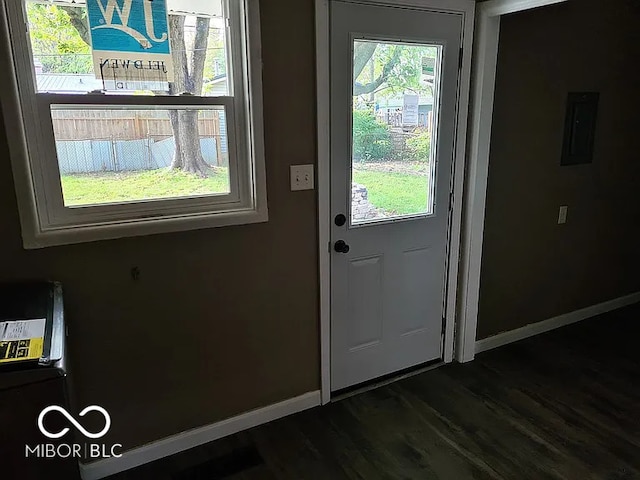 entryway featuring a wealth of natural light and dark hardwood / wood-style flooring