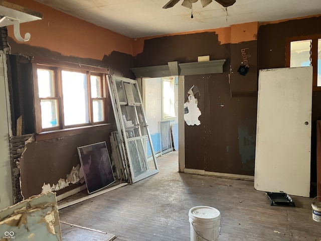 kitchen with ceiling fan and hardwood / wood-style flooring