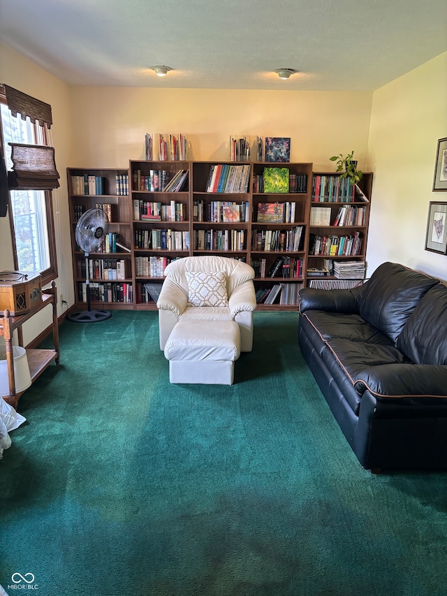 living area featuring carpet