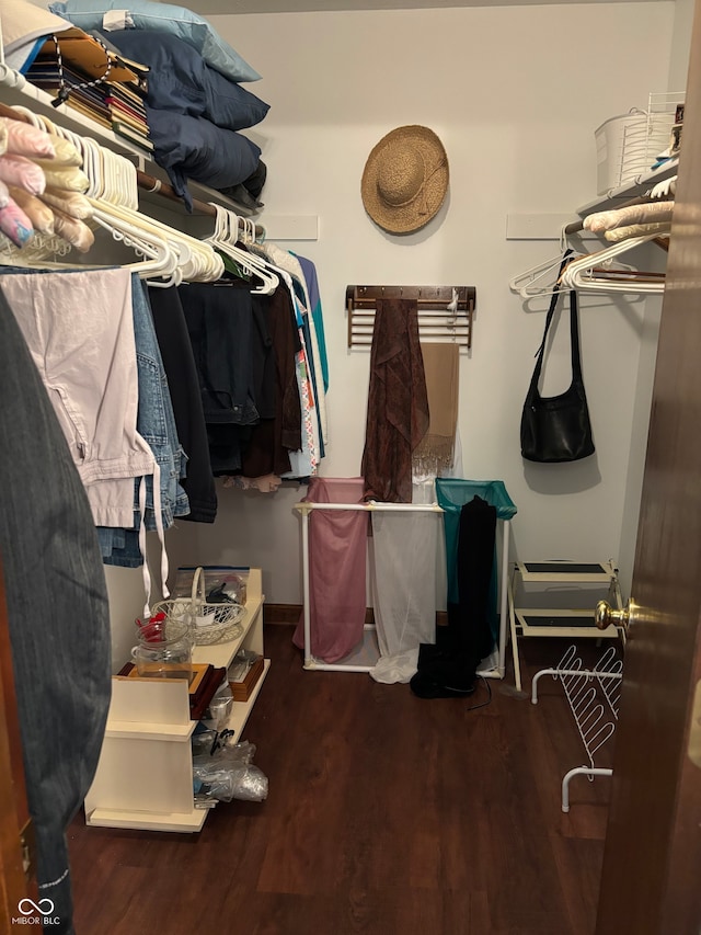 walk in closet with hardwood / wood-style flooring