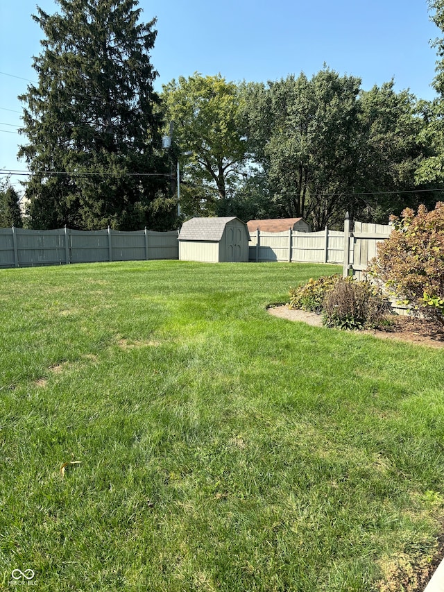 view of yard featuring a storage unit