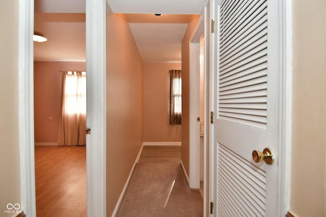 hall with light hardwood / wood-style floors