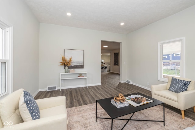 living room featuring wood-type flooring and a textured ceiling