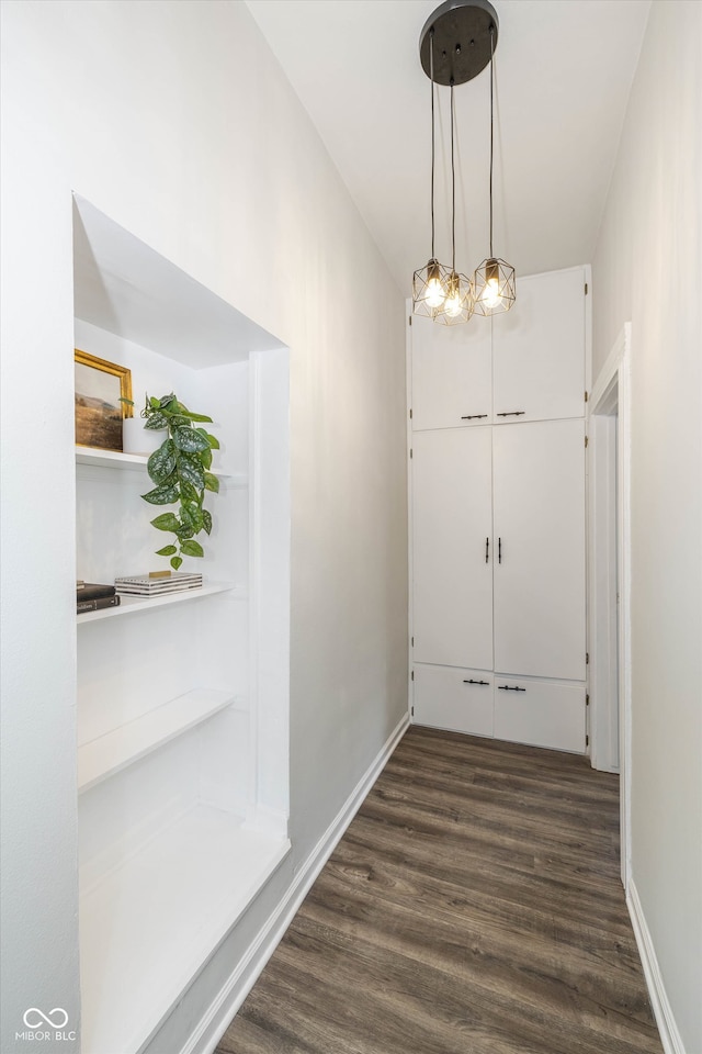 hall featuring dark wood-type flooring