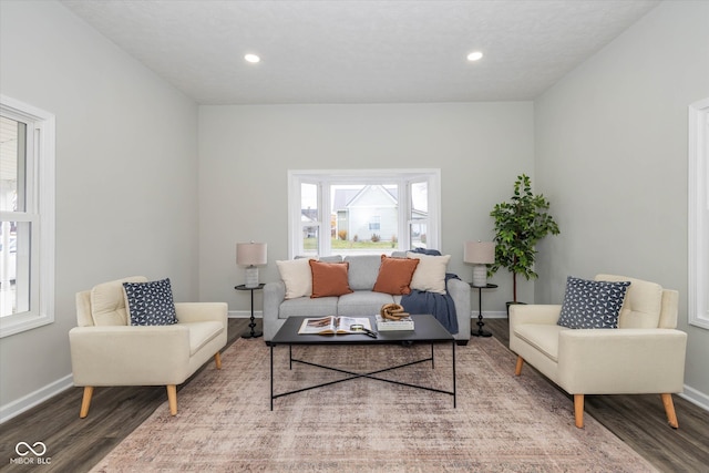 living room featuring wood-type flooring