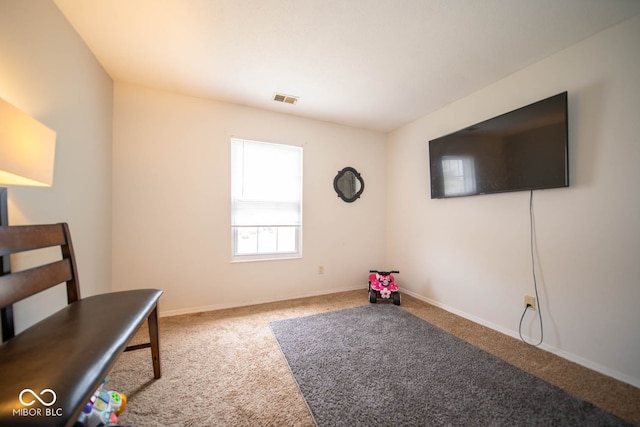 sitting room featuring carpet flooring