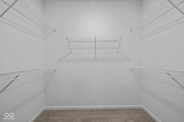 10549 Maidenhair Dr, Indianapolis, IN 46239 - spacious closet with carpet