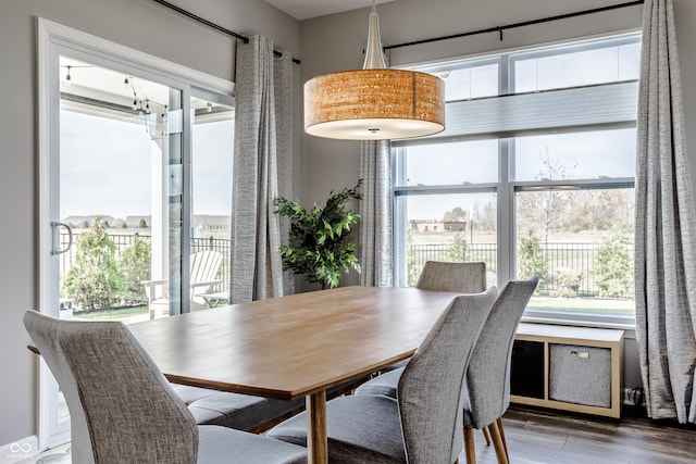 dining space with a healthy amount of sunlight and hardwood / wood-style flooring