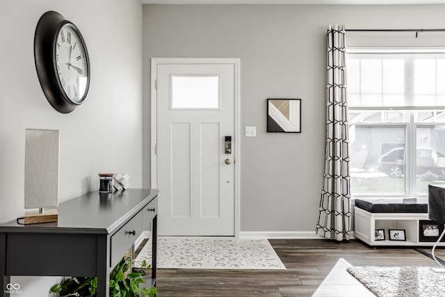 foyer featuring dark wood-type flooring and plenty of natural light