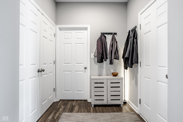 mudroom with dark wood-type flooring