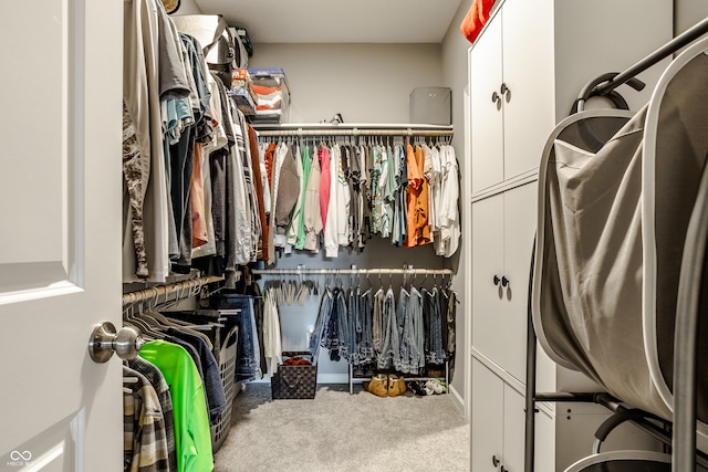 walk in closet featuring carpet floors