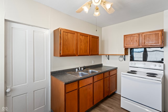 kitchen with sink, ceiling fan, dark hardwood / wood-style floors, and white range with electric stovetop