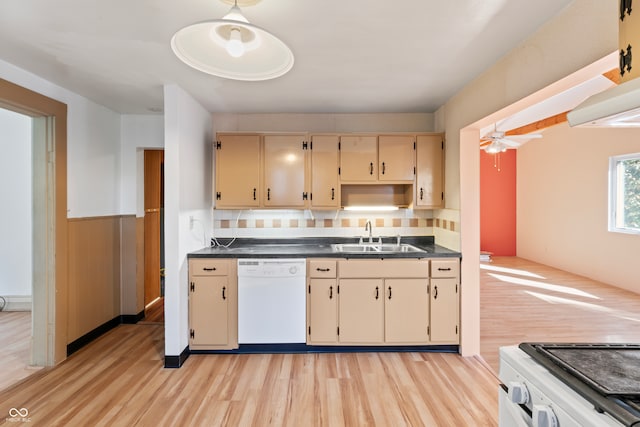 kitchen featuring sink, dishwasher, ceiling fan, light hardwood / wood-style floors, and stove