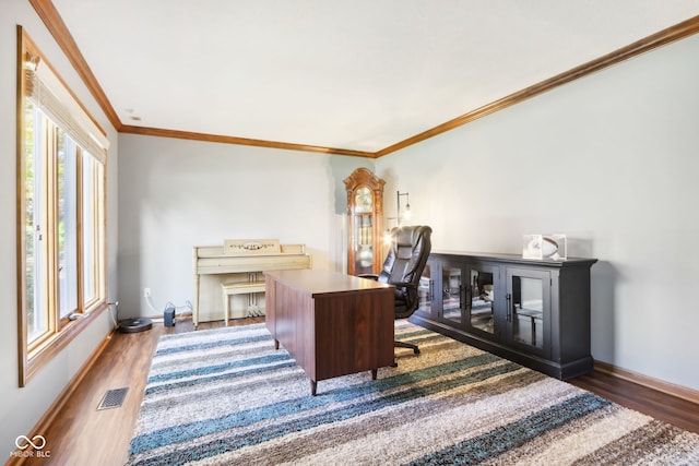 office featuring crown molding and dark hardwood / wood-style floors