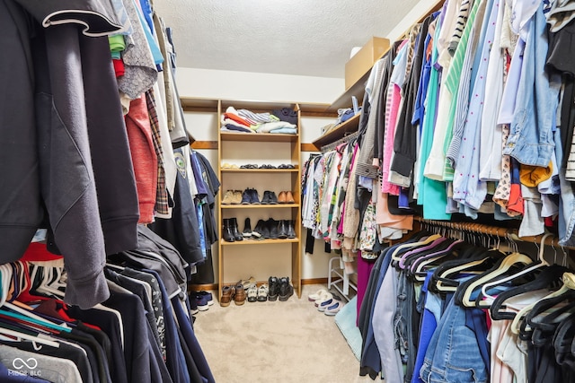 walk in closet featuring carpet