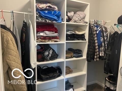 walk in closet featuring carpet