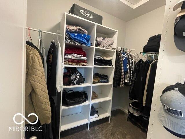 view of walk in closet