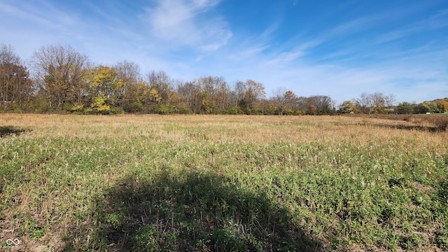 2620 Wicker Rd, Indianapolis, IN 46217 - view of nature with a rural view