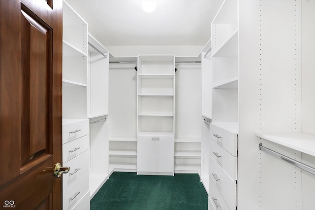 6640 Greenridge Dr, Indianapolis, IN 46278 - view of spacious closet