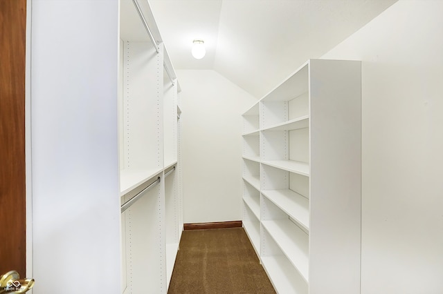 spacious closet featuring lofted ceiling and dark carpet